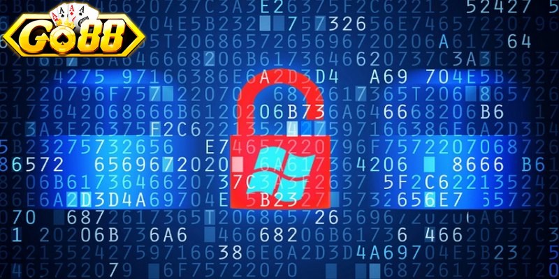 Quyền và nghĩa vụ của người chơi giải trí tại GO88